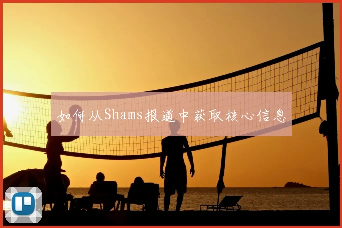 如何从Shams报道中获取核心信息